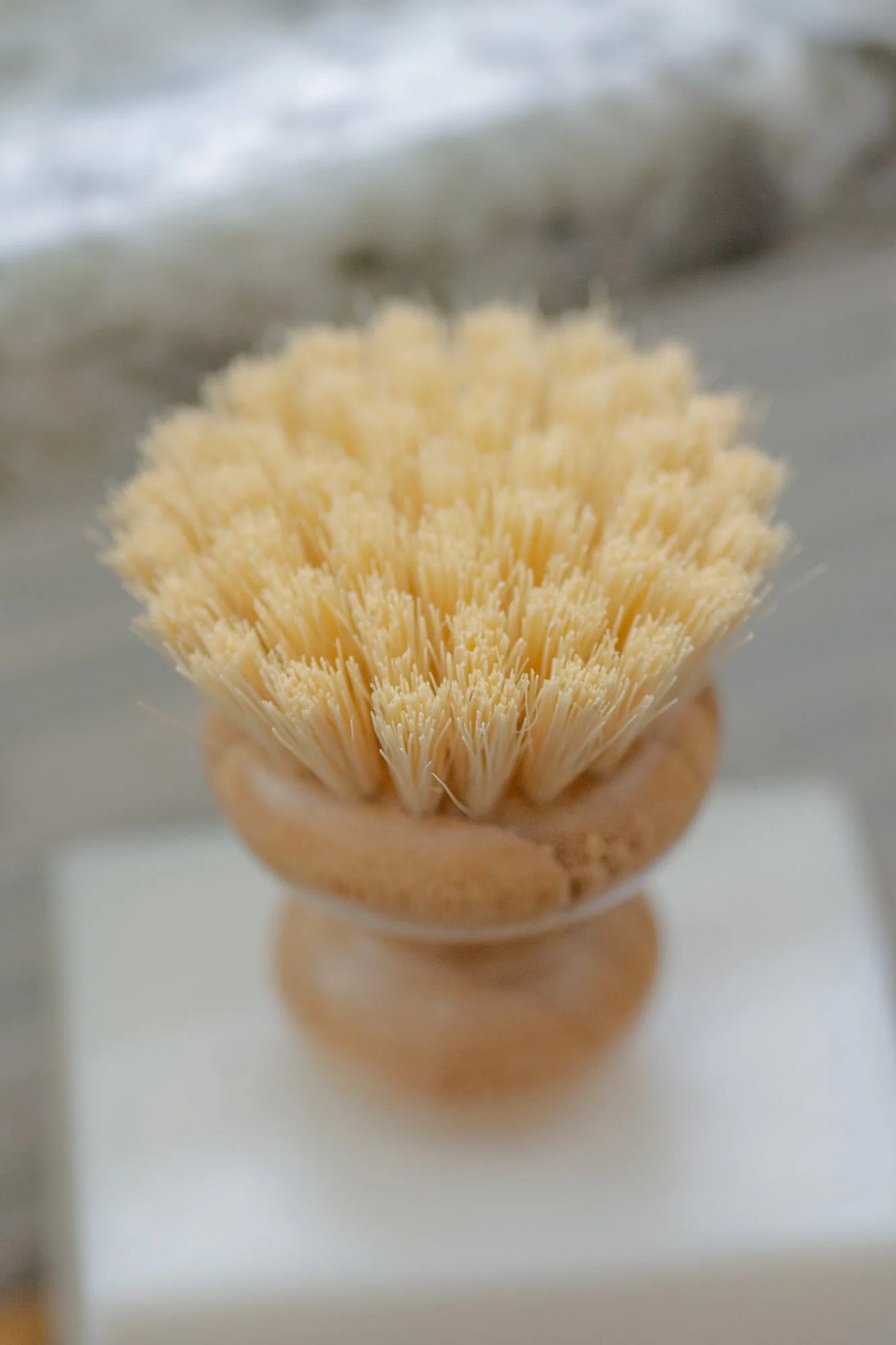 Casa Agave® Short Handle Dish Brushes