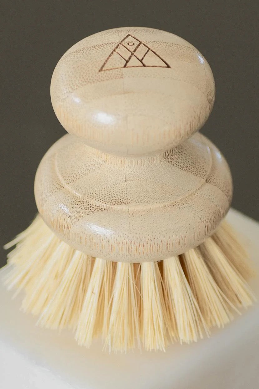 Casa Agave® Short Handle Dish Brushes